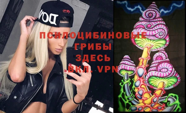 ешки Магас