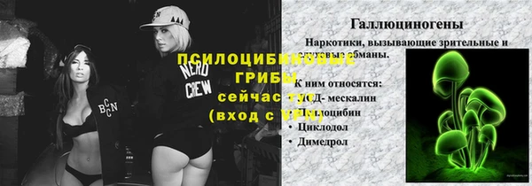 амф Арсеньев