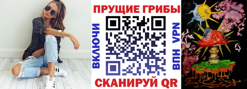 Псилоцибиновые грибы GOLDEN TEACHER  Купить  Мосальск 
